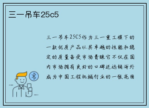 三一吊车25c5