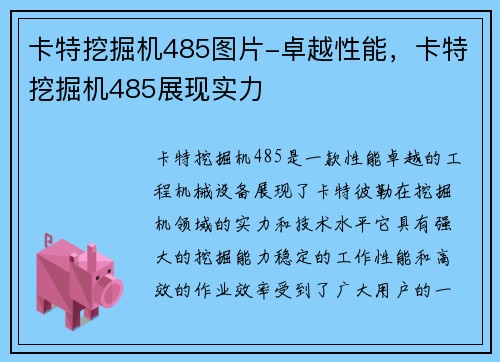 卡特挖掘机485图片-卓越性能，卡特挖掘机485展现实力